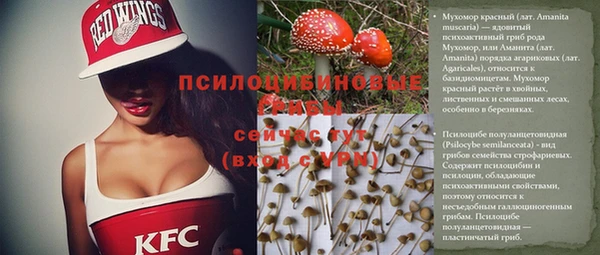 ПСИЛОЦИБИНОВЫЕ ГРИБЫ Белокуриха