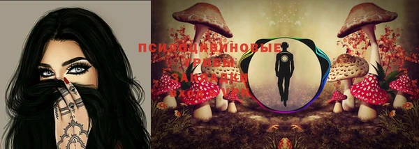 ПСИЛОЦИБИНОВЫЕ ГРИБЫ Белокуриха