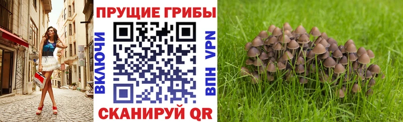 продажа наркотиков  MEGA ССЫЛКА  Псилоцибиновые грибы мухоморы  Симферополь 
